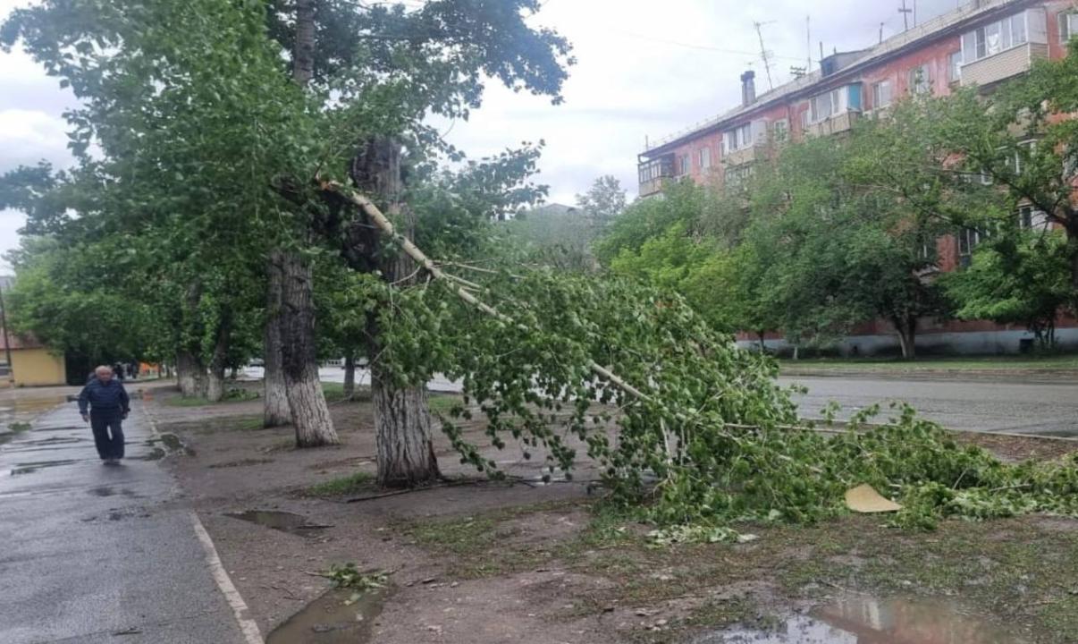 Вопрос чистоты Семея на особом контроле