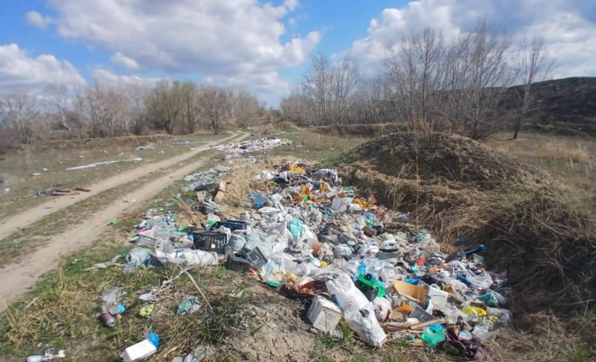 Вопрос чистоты Семея на особом контроле