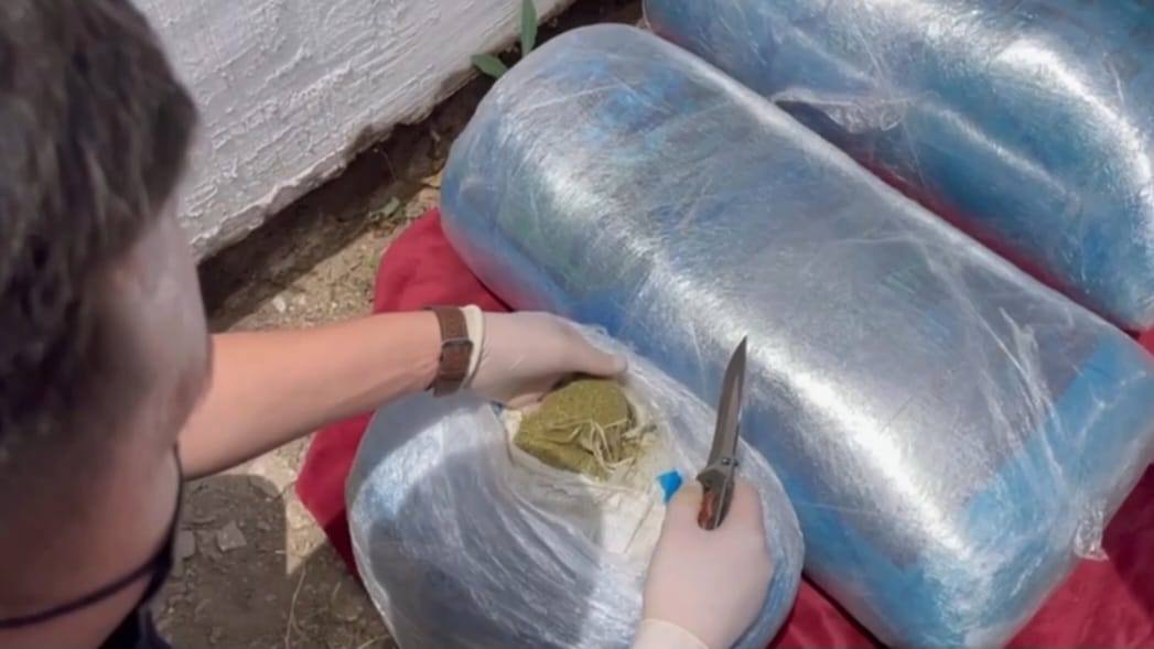 105 кг марихуаны и 7 кг гашиша изъято в Абайской области