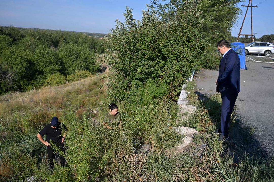 На автодороге «Семей–Павлодар» благоустроят смотровую площадку