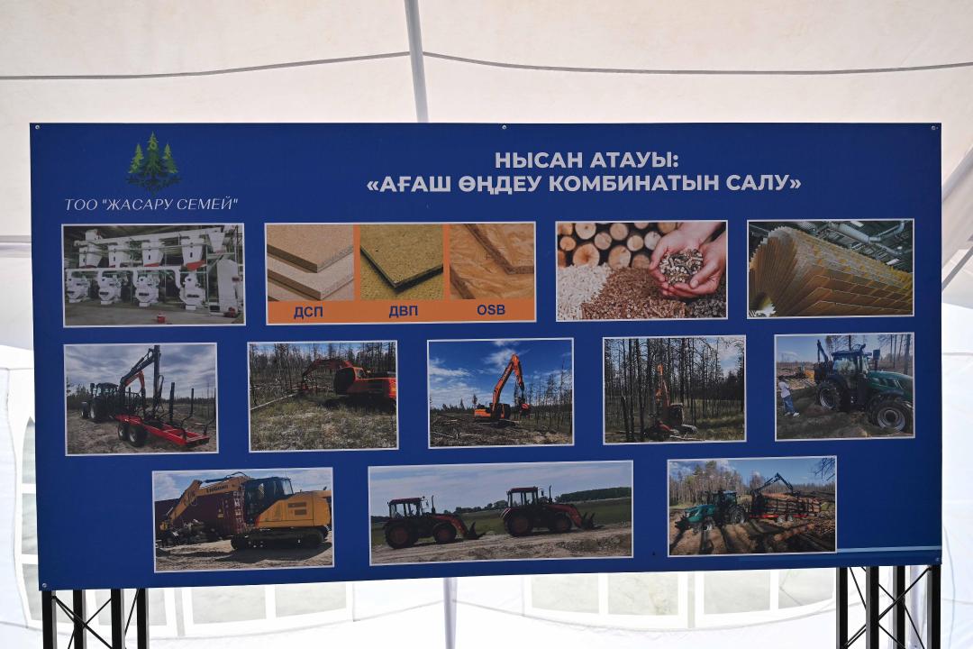 В районе Жаңасемей строится деревообрабатывающий комбинат