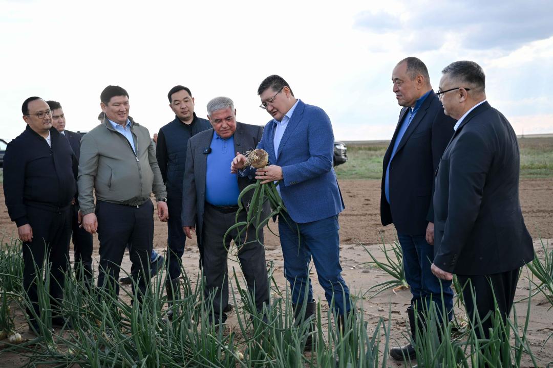 Аким области ознакомился с работой сельхозпредприятия «Агрофирма Приречное»