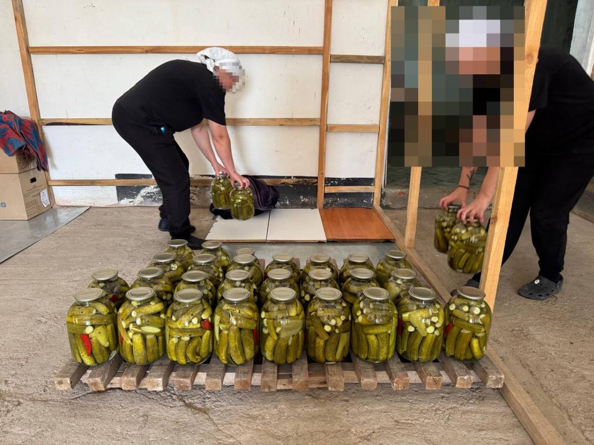 В женской колонии области выращивают овощи и готовят заготовки