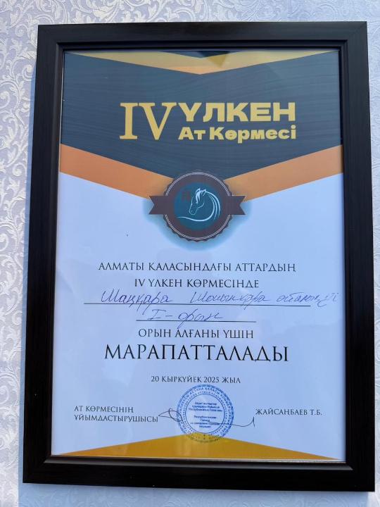 Бескарагайские кони стали победителями республиканской выставки