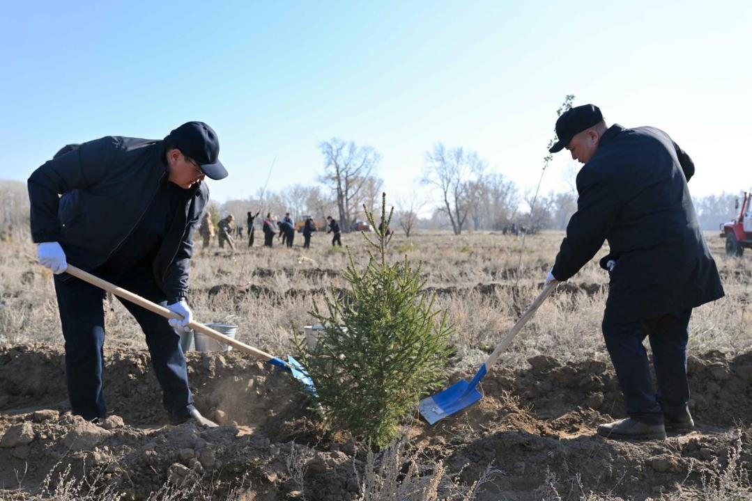 В Семее открылся лесной питомник