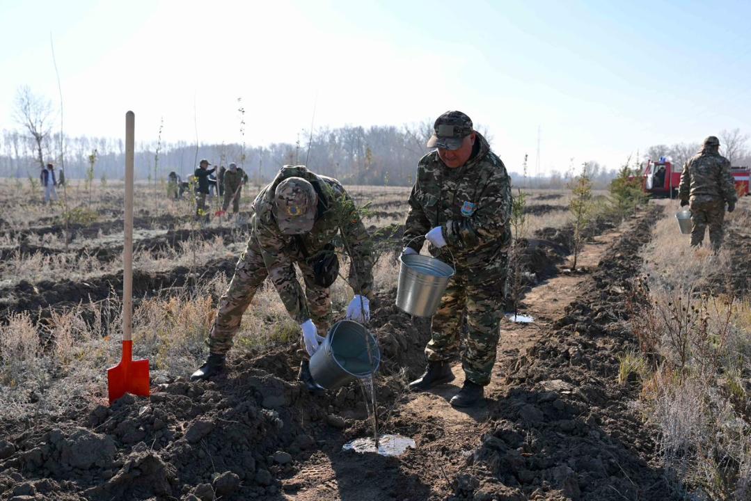 В Семее открылся лесной питомник