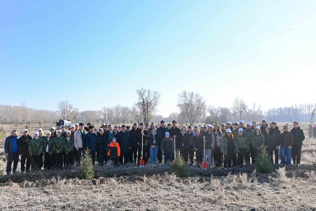 В Семее открылся лесной питомник