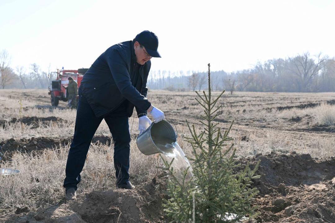 В Семее открылся лесной питомник
