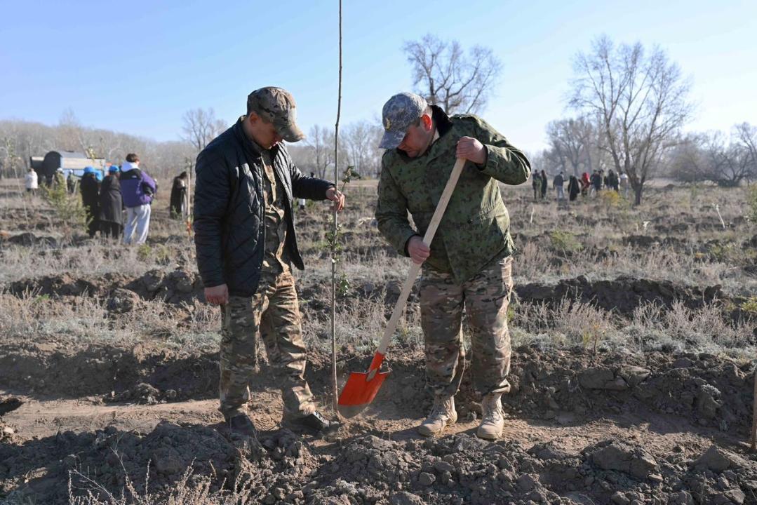 В Семее открылся лесной питомник