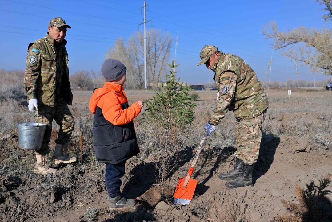 В Семее открылся лесной питомник