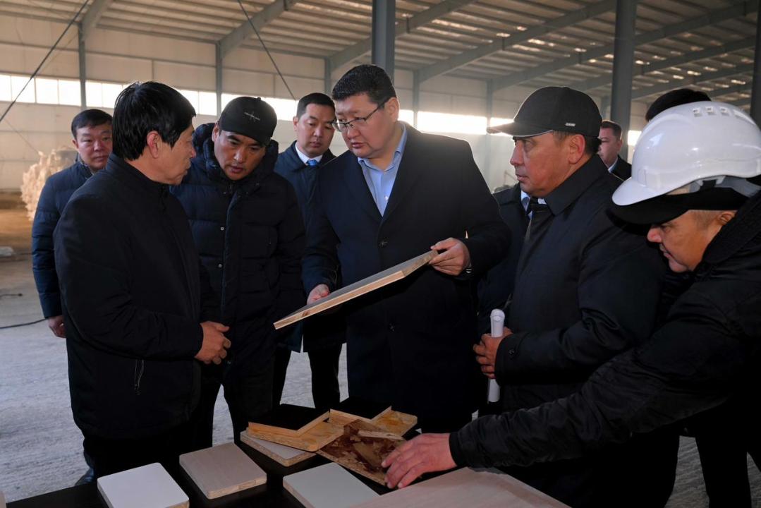 В Семее завершено строительство предприятия по производству OSB-плит и фанеры