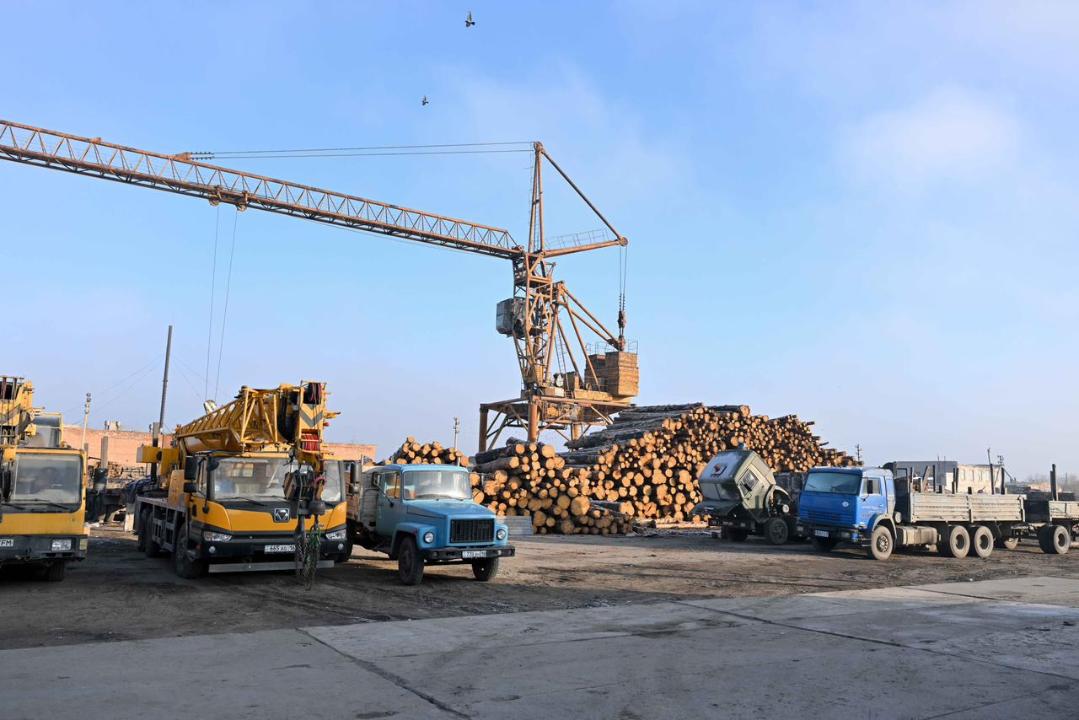 В Семее завершено строительство предприятия по производству OSB-плит и фанеры