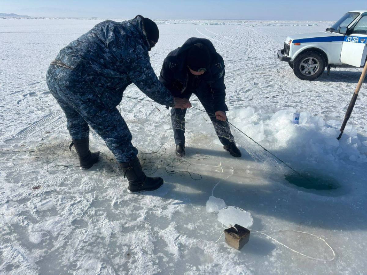 В области проведены рейды против браконьеров