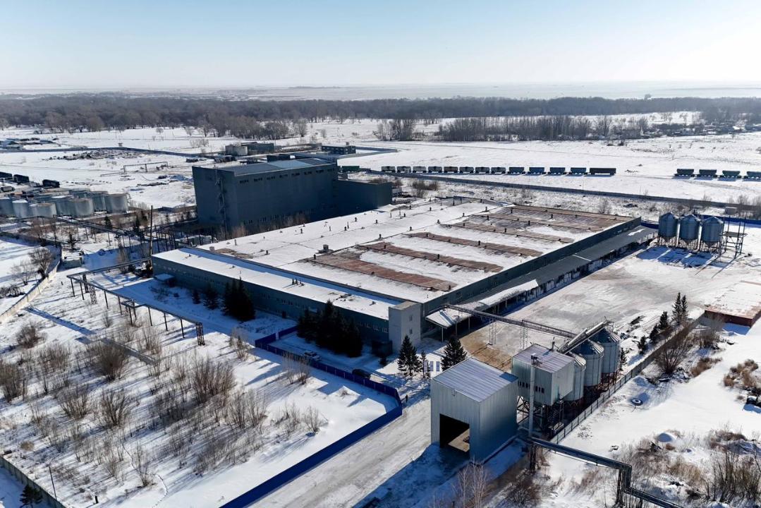 Завод по переработке бобовых и масличных культур открылся в Семее