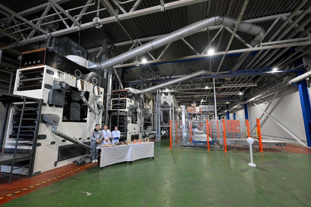 Завод по переработке бобовых и масличных культур открылся в Семее