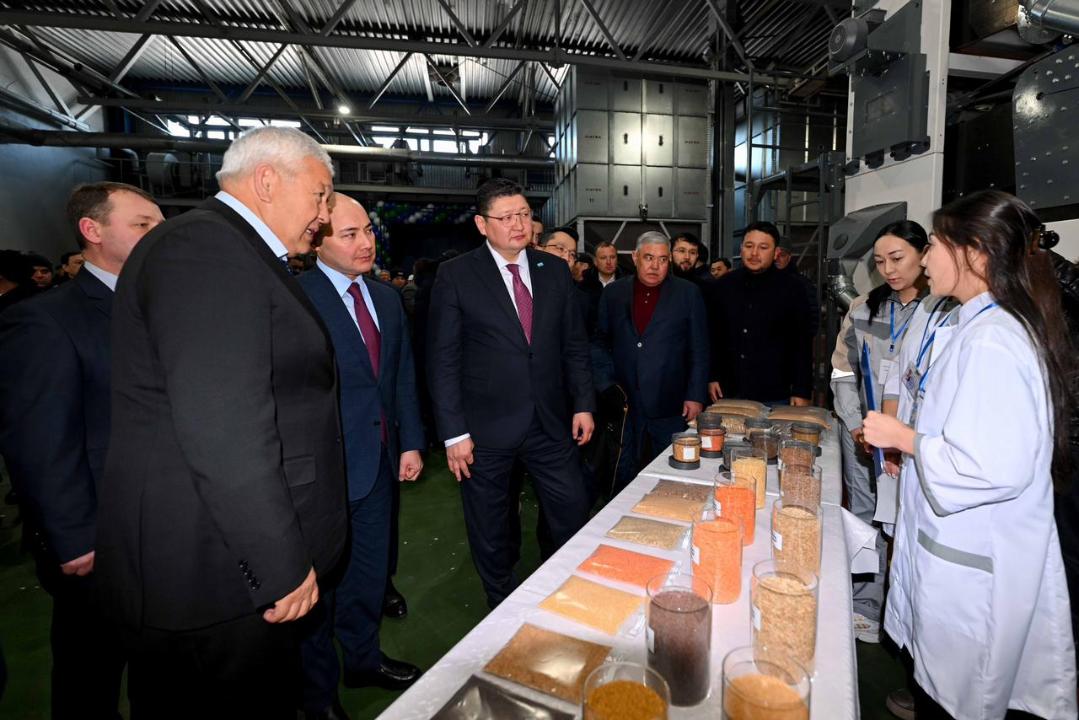 Завод по переработке бобовых и масличных культур открылся в Семее