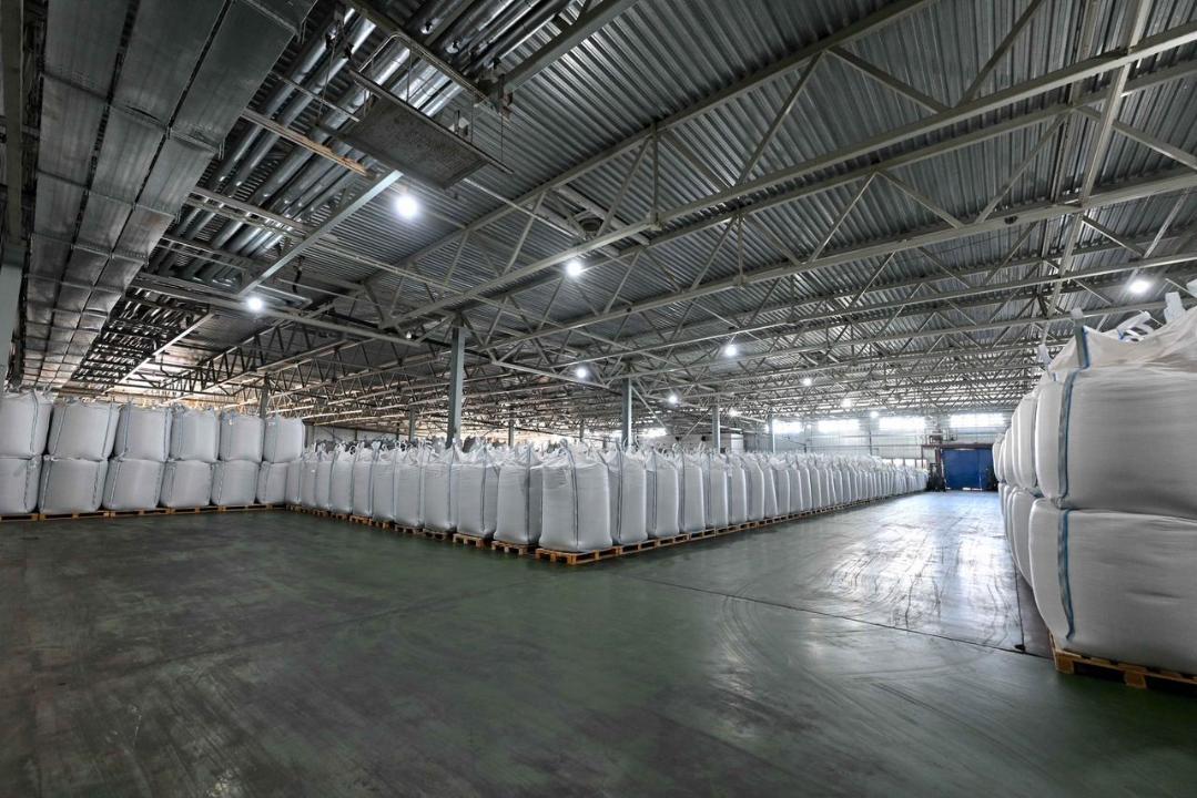 Завод по переработке бобовых и масличных культур открылся в Семее