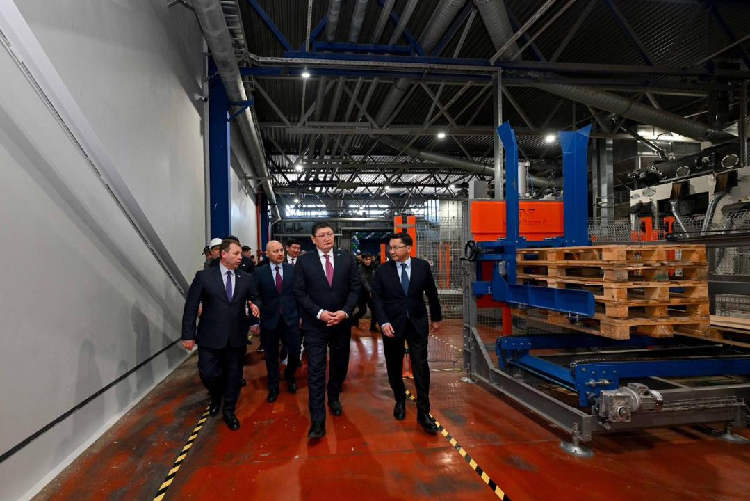 Завод по переработке бобовых и масличных культур открылся в Семее